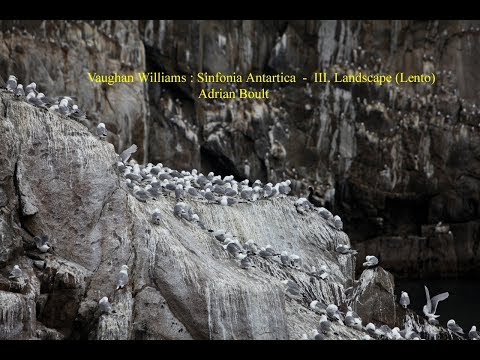 Video thumbnail for Landscape