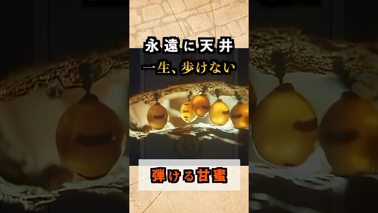 一生歩けず、吊るされし者... ミツツボアリ