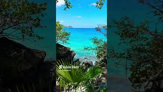 Cruise Excursion Shorts - Coki Beach in St Thomas While on the Shop, See and Splash Shore Excursion