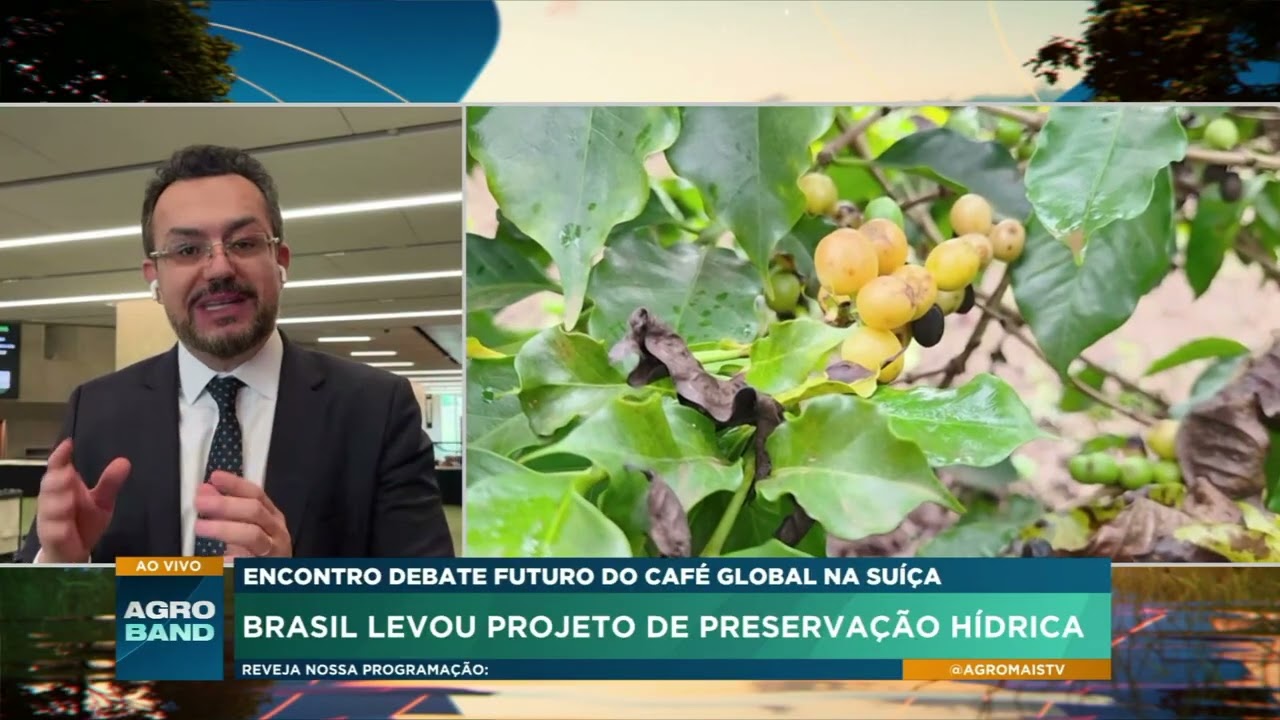 Café brasileiro: posição no mercado mundial é destaque no Conselho Internacional do Café