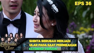 Download lagu Tak Disangka! Semua Orang Kaget melihat Shinta Menjadi Ular - Siluman Ular Eps 36 PART 1 mp3