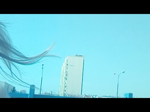 Wilczki 2009 -Agape 2008 :)