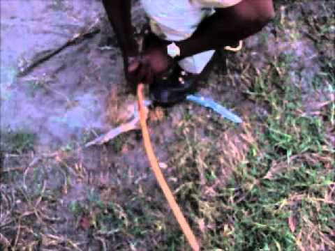 Nxabega - starting a fire from hippo droppings.wmv