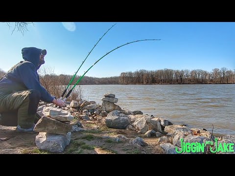 Want To CATCH More Spring CATFISH? Check Out These TIPS!