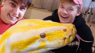 GETTING THEM OVER THEIR FEAR OF SNAKES w/ SAM and COLBY !! | BRIAN BARCZYK by Brian Barczyk