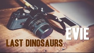 Evie Last Dinosaurs