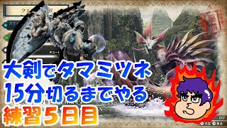 【MHRize】モンハンライズ発売までに大剣を極めたい【練習5日目】