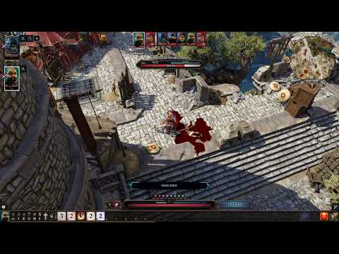 Divinity Original Sin 2 - Definitive Edition - Paladin Cork