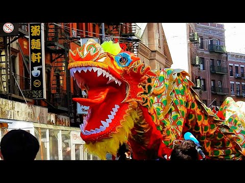 NYC Chinatown Lunar New Year Parade Highlights | Dragon & Lion Dance for Celebration