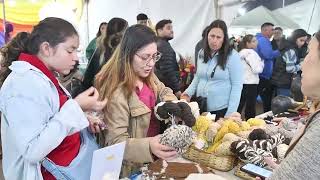 Capital creó un registro único de artesanos para ordenar espacios públicos