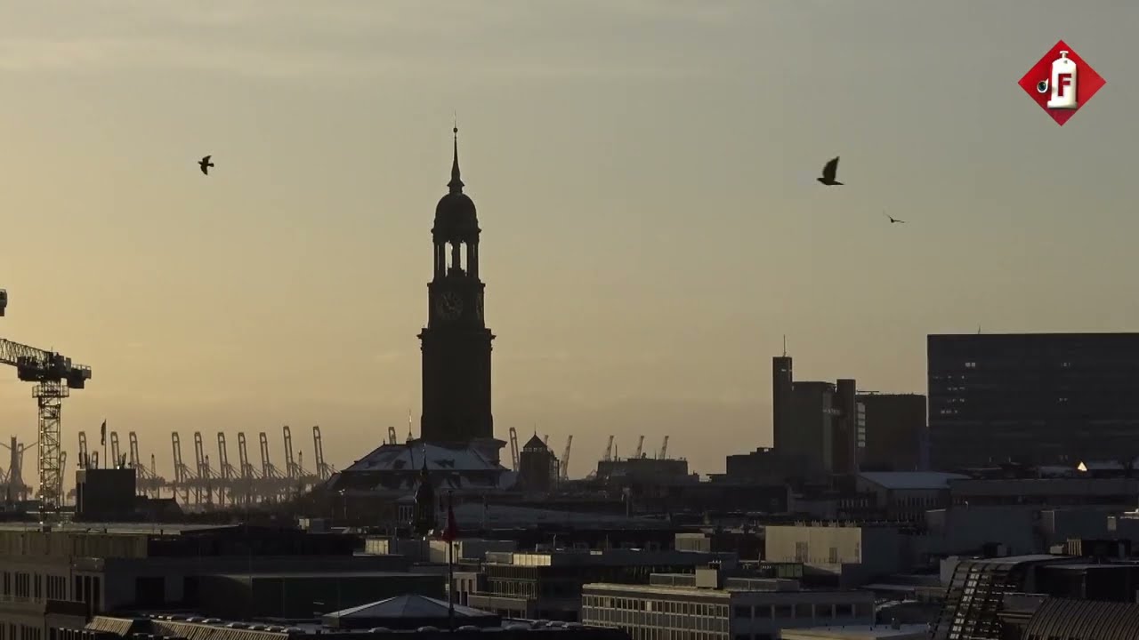 DEMO GEGEN RECHTSEXTREMISMUS | 19.1.2024 in HAMBURG