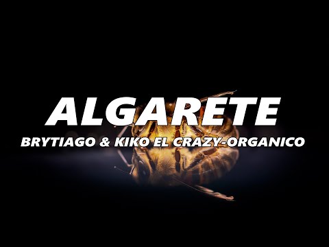 Brytiago & Kiko el Crazy - Algarete (LETRA)
