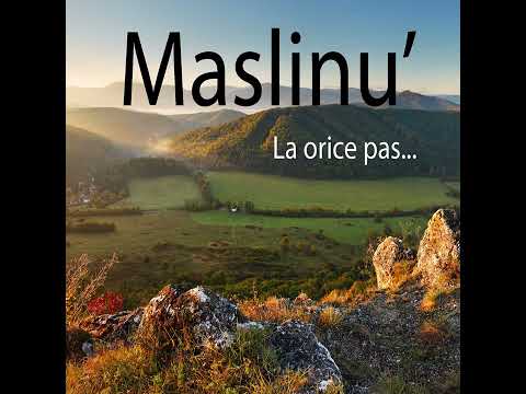 O iubită adunare, am o bucurie mare - Grup Măslinul