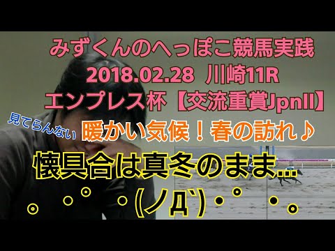 【競馬実践】川崎11R エンプレス杯 みずくんのへっぽこ競馬実践2018.02.28