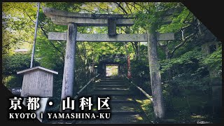 京都山科区の夏の喧騒と艶やかな緑に佇む神社仏閣3選 l The Alluring Beauty of Japanese Gardens in Kyoto 【Kyoto Yamashina-ku】