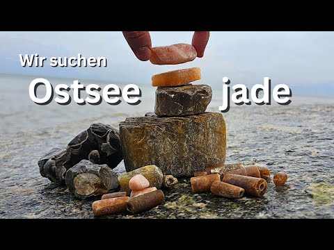 Schöne Funde Ostseejade - Fossilien suchen an der Ostsee