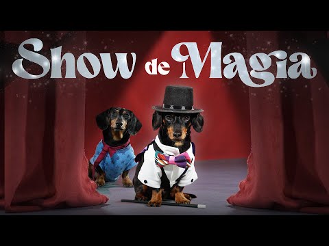 The magic show