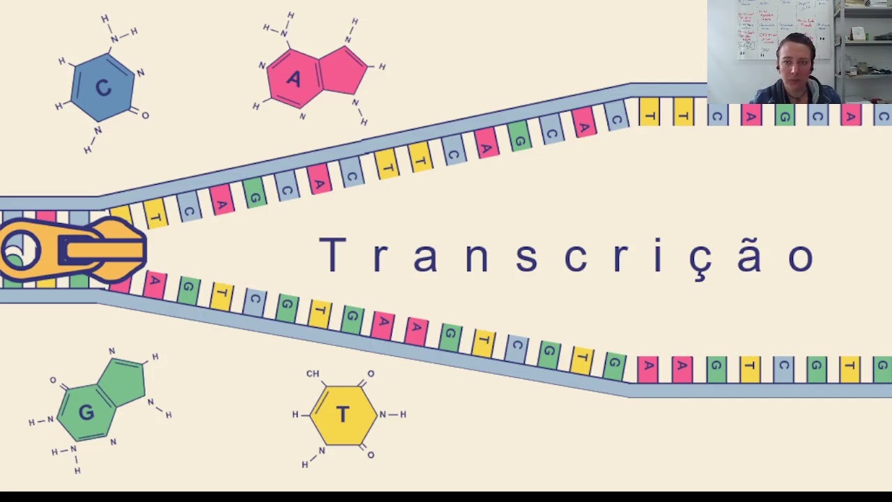 Unidade 7 - Genética básica