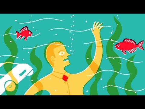 What Happens Inside a Dying Mind?