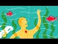 What Happens Inside a Dying Mind?