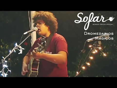 Dromedarios Mágicos - Fuimos | Sofar Mexico City