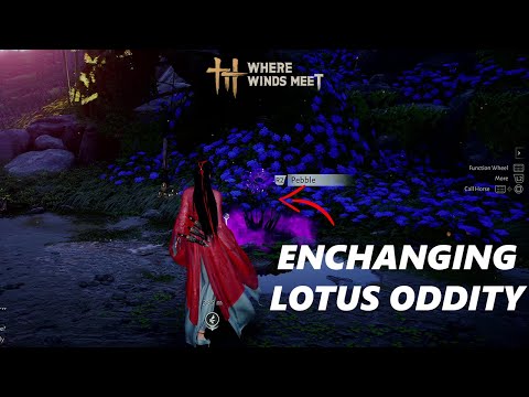 Wo die Winde sich treffen: Wie man bezaubernde Lotus-Kuriositäten sammelt