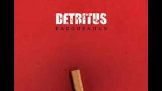 detritus-endogenous (scrap.edx rmx)