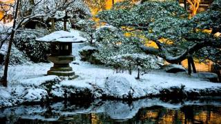 Arc of Doves - Impression