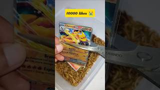 No my charizard😱 #pokemon #pokemoncards #pokemontcg