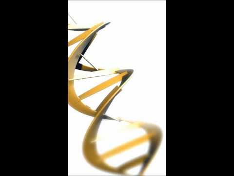 Ketzer - Vater - SBC