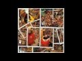 henry kaiser - the worst of times (1992)