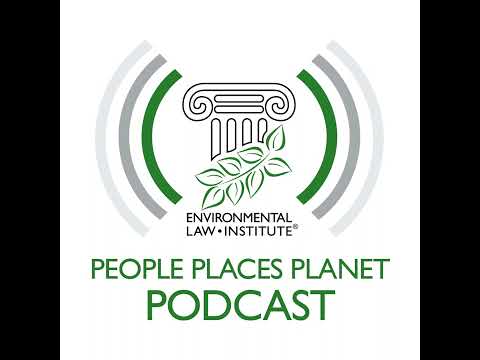 Environmental Organizations: The Frontline of Sustainability