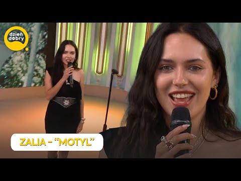 Zalia - "Motyl" | Dzień Dobry TVN