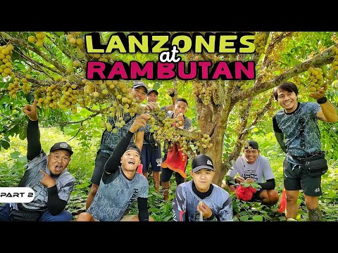 P2-Rambutan at Lanzones - EP1090