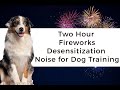 Fireworks Noise Desensitization Dog Training Two Hour Non Stop Sounds