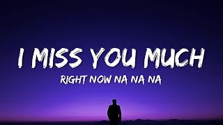 Akon - I miss you much (Right Now Na Na Na) Lyrics