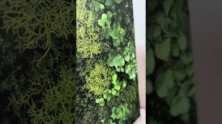 Printed Moss Wall Art