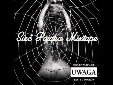 Krzyżak (WZNP) - Wizja Świata