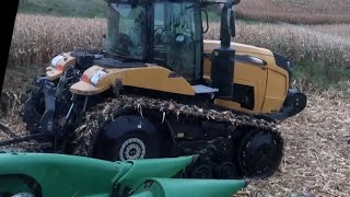 Harvesting Corn in the Mud Before the Rain