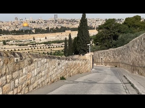 Recorriendo el lugar por donde Jesús entró a Jerusalén el Domingo de Ramos