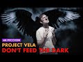 Project Vela Don T Feed The Dark Cover на Русском By Alex PV