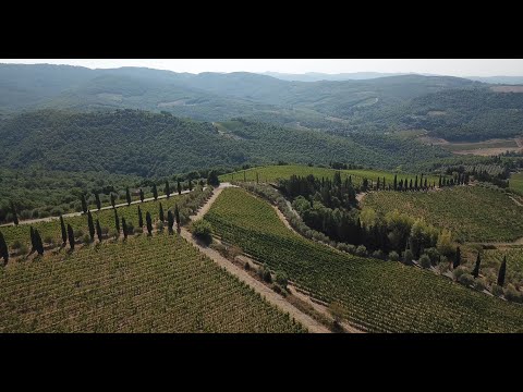 Chianti, Italy/4k