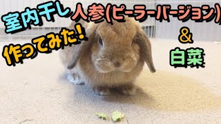 室内干し白菜&ピーラー人参作ってみた！うさぎ用おやつ【Rabbits eating Chinese cabbage and carrots】