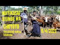 MAYIKUSAI UJUMBE WA CHOYOYO MBASHA STUDIO 9 4 2023