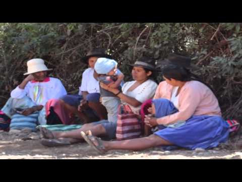 Resolución Final, Pabellón