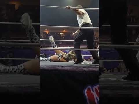 LA HIEDRA 😍 VS SHANI 😍