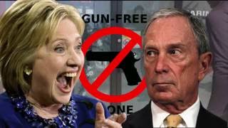 Candidate Susan Larson on the 2nd Amendment: Sound of Silence