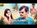 Cauliflower Full Movie Sampoornesh Babu Vasanthi Krishnan Telugu Talkies