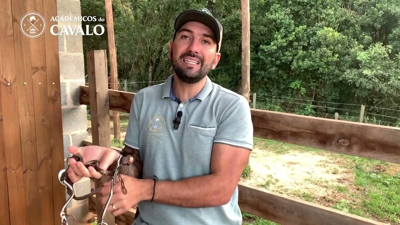 QUER SABER QUAL A DIFERENÇA ENTRE BRIDÃO E FREIO