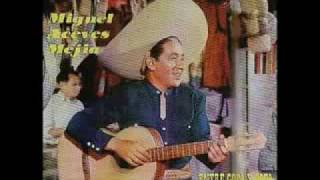 Cucurrucucu Paloma Lyrics English Translation